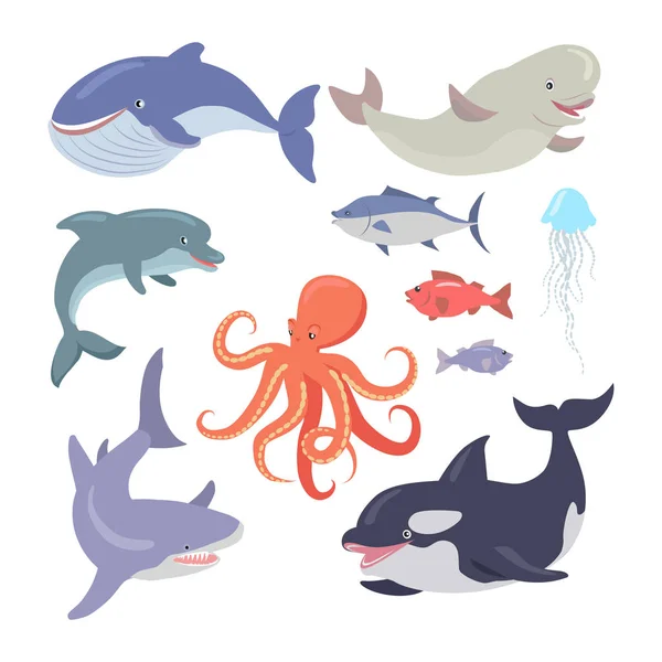 Ballena, tiburón, pulpo, focas, medusas, salmón — Vector de stock