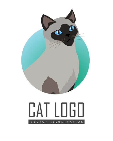 Siamese cat Vector Flat Design Illustration — Stock Vector