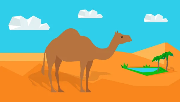 Dromedary Camel em Desert Vector em Flat Design —  Vetores de Stock