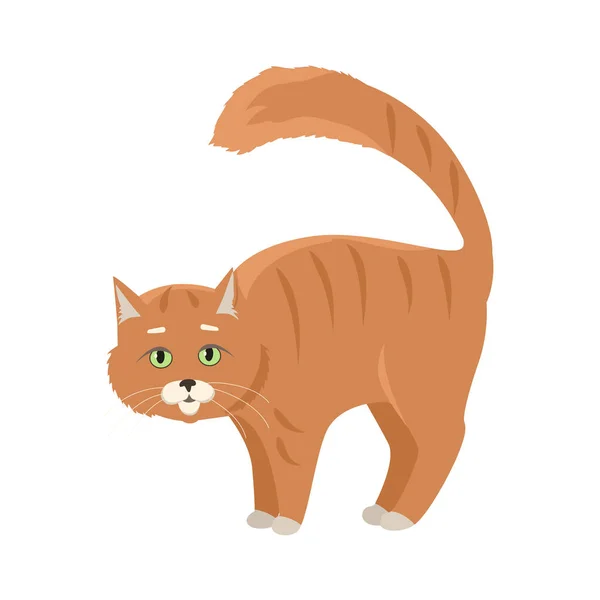 Red Cat Vector Flat Design Illustration — Stock Vector