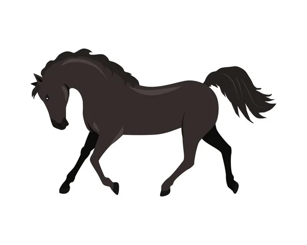 Paard vectorillustratie in platte ontwerp — Stockvector