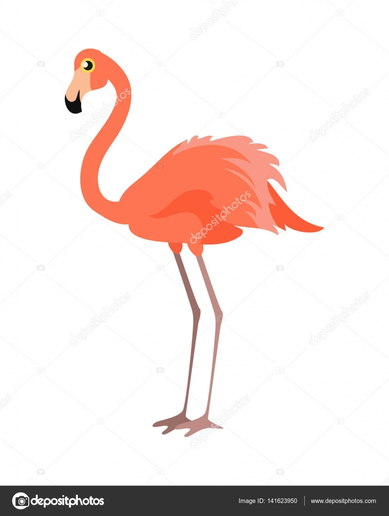 Arquivo de flamingo - Art Poin, image size:771x1024