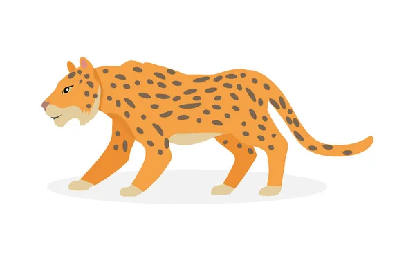 Jaguar, wilde kat Panther geïsoleerd op wit. — Stockvector