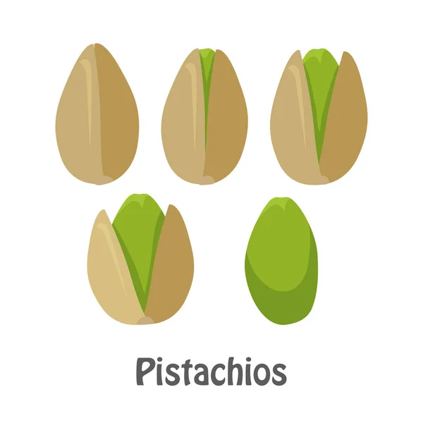 Kacang Pistachio dan Kernel Pistachio - Stok Vektor