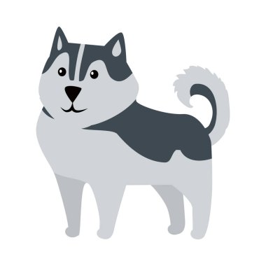 Siberian dış yapraklar orta boy köpek doğurmak izole