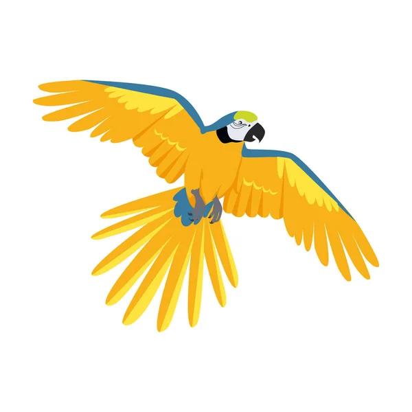 Που φέρουν Ara παπαγάλος επίπεδη σχεδίαση διανυσματικά εικονογράφηση — Διανυσματικό Αρχείο