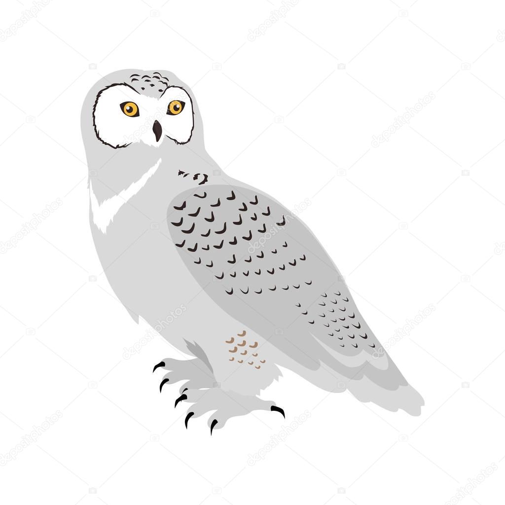 Free Free 182 Snowy Owl Svg SVG PNG EPS DXF File