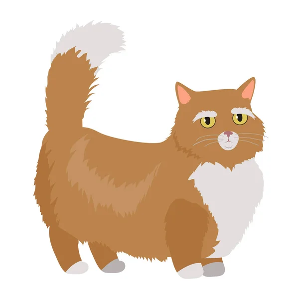 マンチカン猫ベクトル フラット設計図 — ストックベクタ