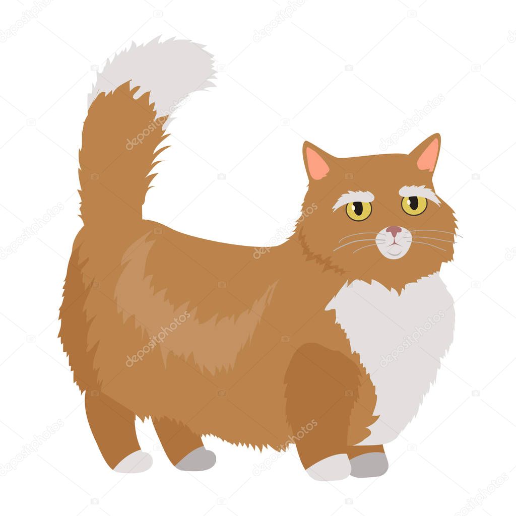 Munchkin cat Vector Flat Design Illustration