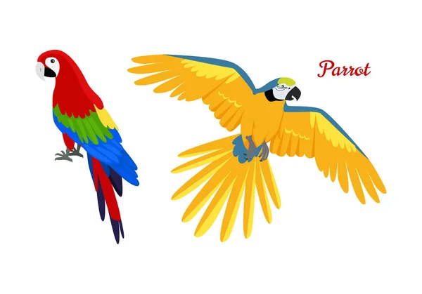 Illustration vectorielle de dessin plat Ara Parrot — Image vectorielle