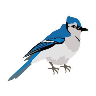 Mavi karga düz tasarım vektör çizim