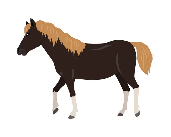 Vektorové ilustrace v plochý Design koně — Stockový vektor
