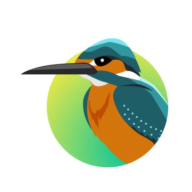 Kingfisher düz tasarım vektör çizim