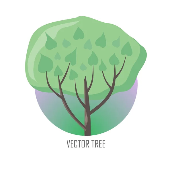 緑の葉を持つ木. — ストックベクタ
