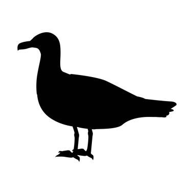 Martı düz tasarım vektör çizim