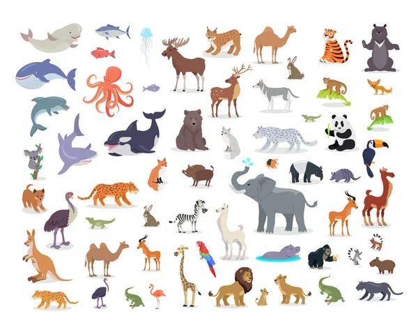 Dünya hayvan türlerinin çizgi film vektörel çizimler büyük kümesi — Stok Vektör