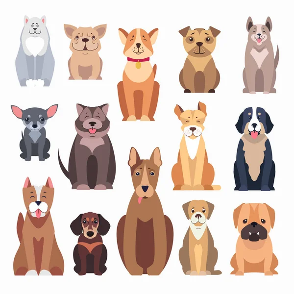 Diferentes tipos de razas de perros sobre fondo blanco — Vector de stock