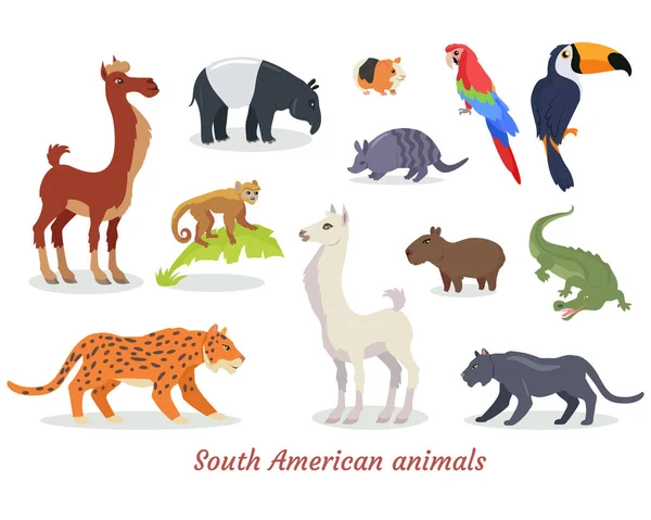 South American Animals Cartoon Vectors Set — Stock Vector