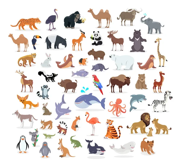 Animaux pleine longueur Portraits Collection sur Blanc — Image vectorielle