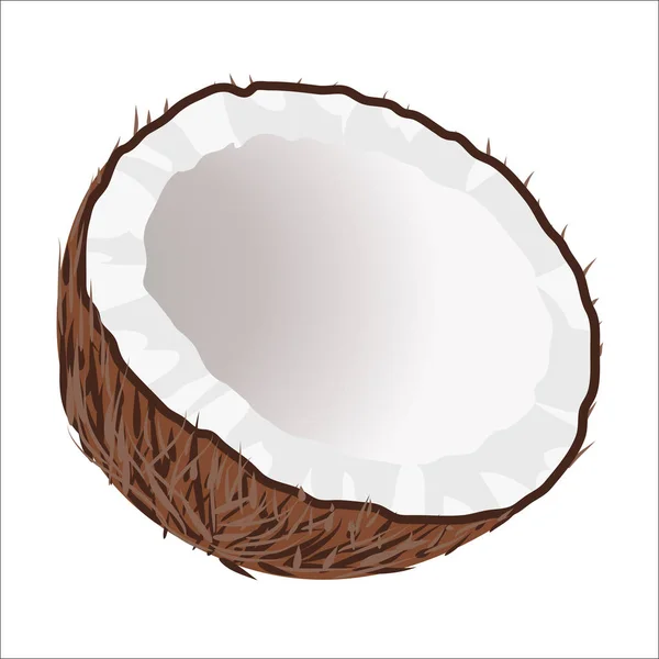 La moitié de noix de coco. Écrou tropical Illustration isolée — Image vectorielle