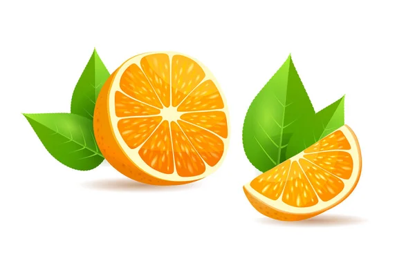 오렌지 잎 만화 고립 된 그림 — 스톡 벡터