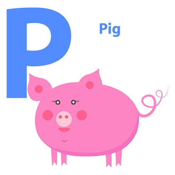 Cochon rose mignon sur l'icône Alphabet Caractère P Dessiné — Image vectorielle