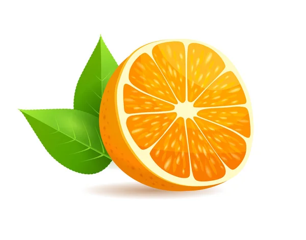 Sliced in Half Orange with Leaves Realistic Vector — Stock Vector