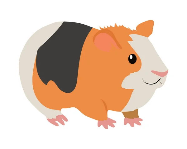 Icono de dibujos animados de cerdo de Guinea en diseño plano — Vector de stock