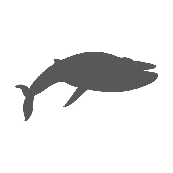 Beyaz arka plan üzerinde izole siyah balina — Stok Vektör