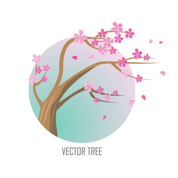 Vector Tree. Sakura Isolado em Branco. Vetor — Vetor de Stock