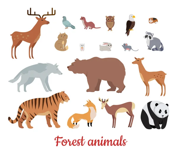 Conjunto de animales forestales — Archivo Imágenes Vectoriales