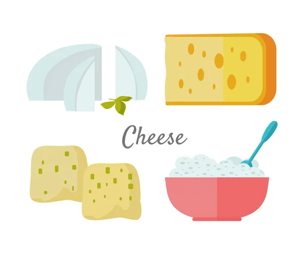 Surtido de queso aislado sobre fondo blanco — Archivo Imágenes Vectoriales