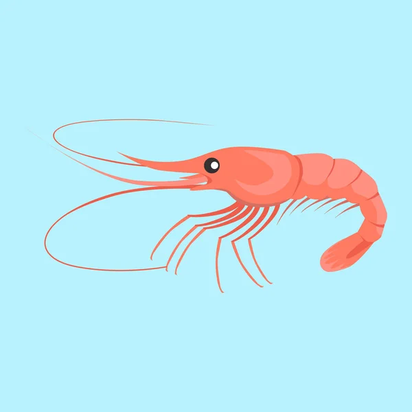 Illustration de dessin plat vecteur crevettes — Image vectorielle