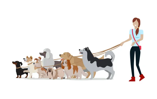 Banner paseante para perros. Mujer paseo con diferentes perros — Vector de stock