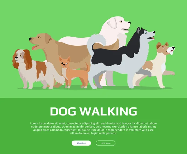 Dog Walking Concept Flat Style Vector Web Banner — Stock Vector