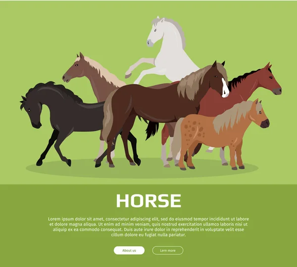 Bannière Web vectorielle de style plat conceptuelle de cheval — Image vectorielle