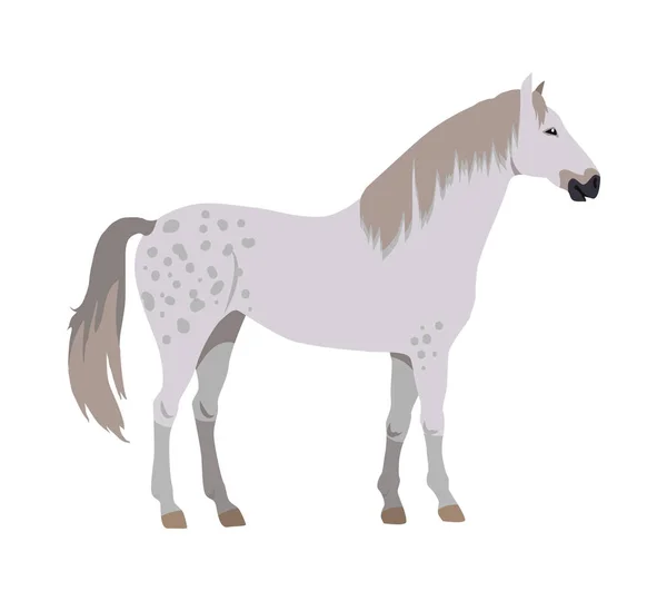 Paard vectorillustratie in platte ontwerp — Stockvector