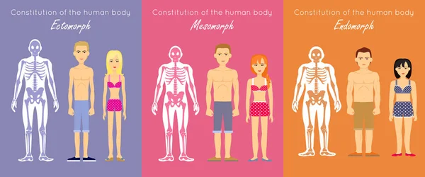 Cuerpo humano Constitución Diseño plano Vector Concepto — Vector de stock