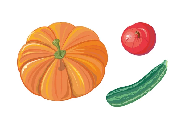 Sada podzimní zelenina ploché vektorové ilustrace — Stockový vektor