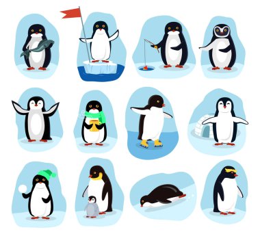 Penguenler günlük faaliyetleri posterler çizgi film seti