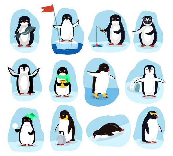 Penguins Daily Activities Posters Cartoon Set — Stock Vector