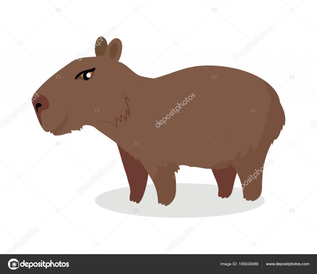 Bonita ilustração vetorial de desenho de capivara