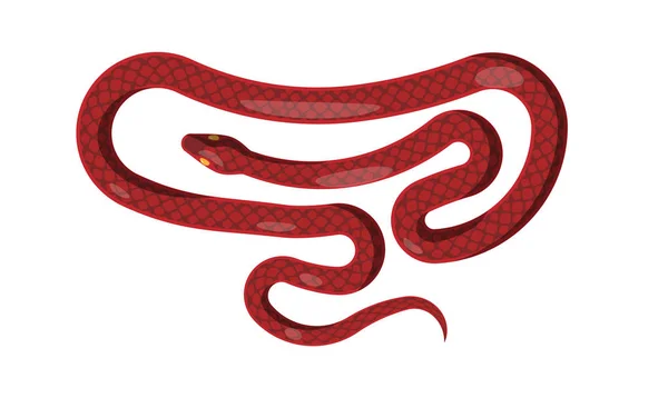 Ilustración aislada de serpiente roja. Reptil de dibujos animados — Vector de stock