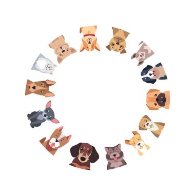 Farklı safkan köpekler çemberi. Vektör