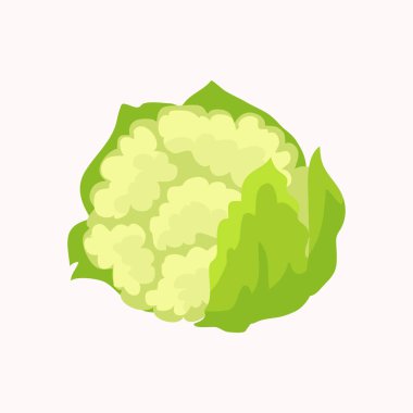 Beyaz arka plan üzerinde izole karnabahar. Vektör