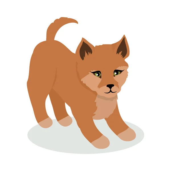 Dingo Cartoon Flat Vector Illustration — Stock Vector