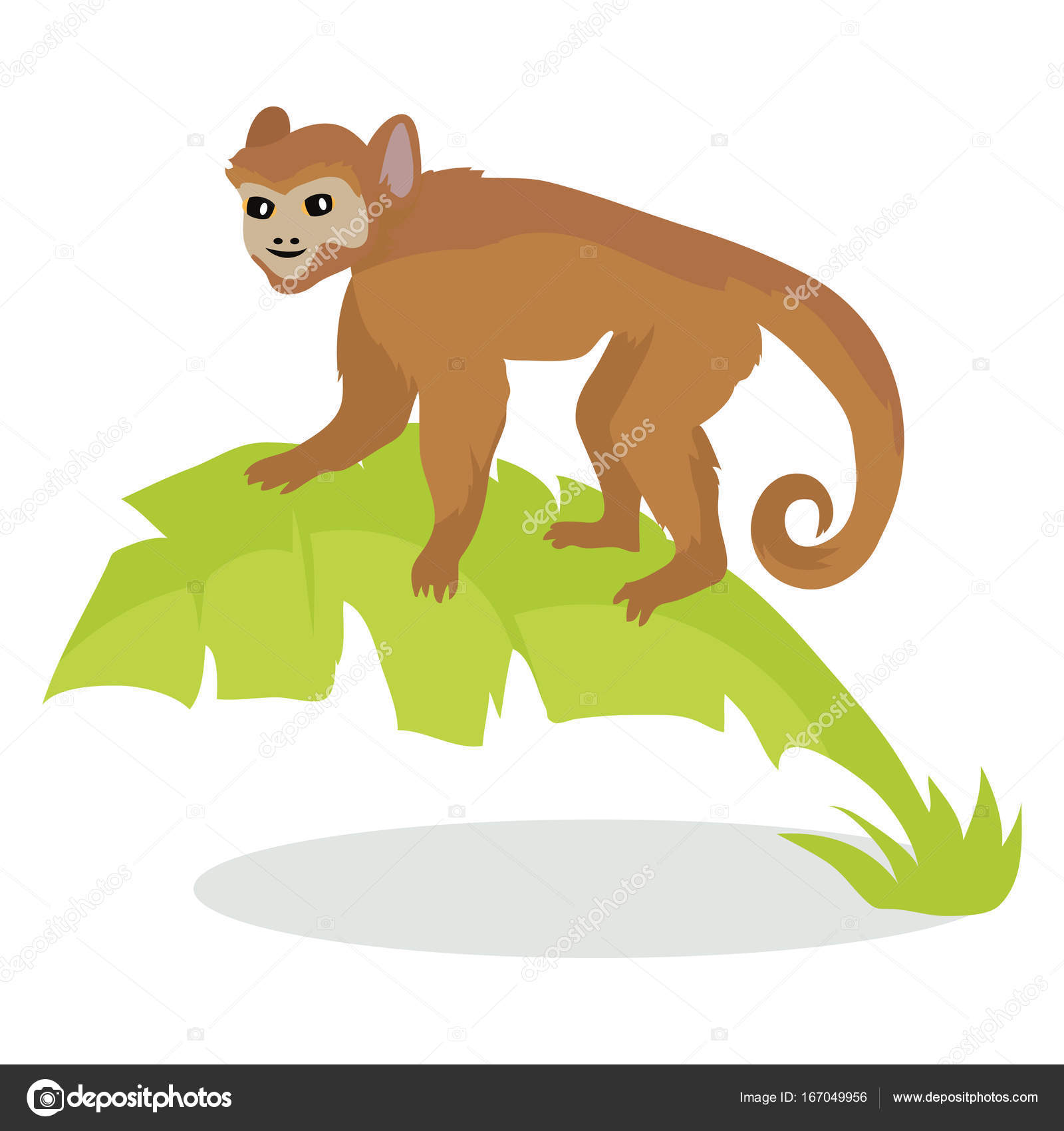 Design Simples Plana Macaco Desenho Animado Ícone Ilustração