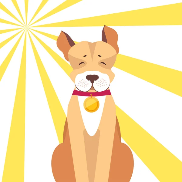Basenji Dog with Closed Eyes on Sunny Background — Stock Vector