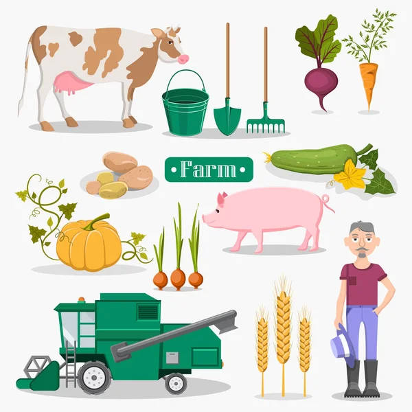 Çiftlik işçisi, hayvanlar ve bitkiler illüstrasyonlar Set — Stok Vektör