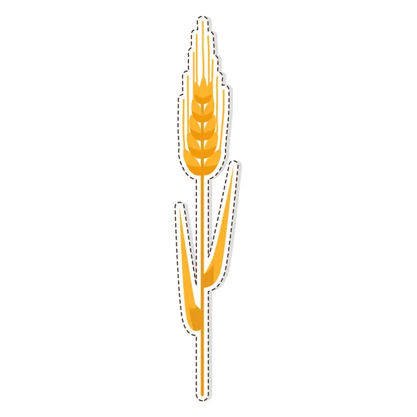 Vector aislado amarillo dorado del parche de trigo — Vector de stock